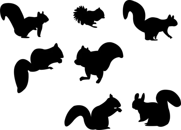 Squirrel silhouette vector images