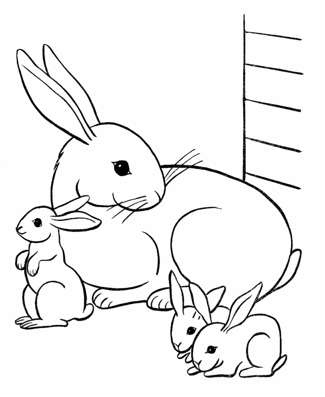 Pets coloring pages