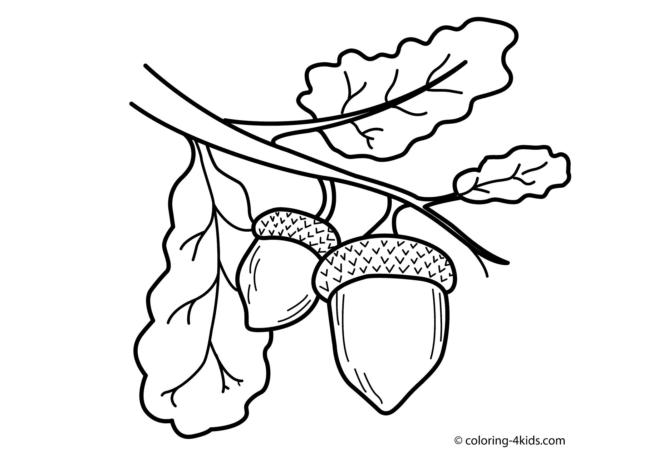 Acorn nature coloring page for kids printable free coloring pages for kids fall coloring pages coloring pages