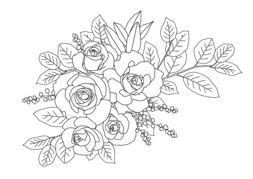 Adult coloring page images â browse photos vectors and video