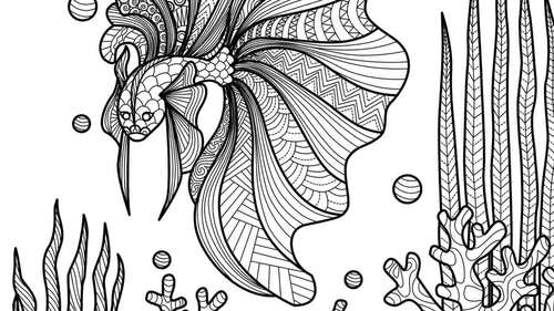 Animal mandala coloring pages geometric coloring pages for kids and adults