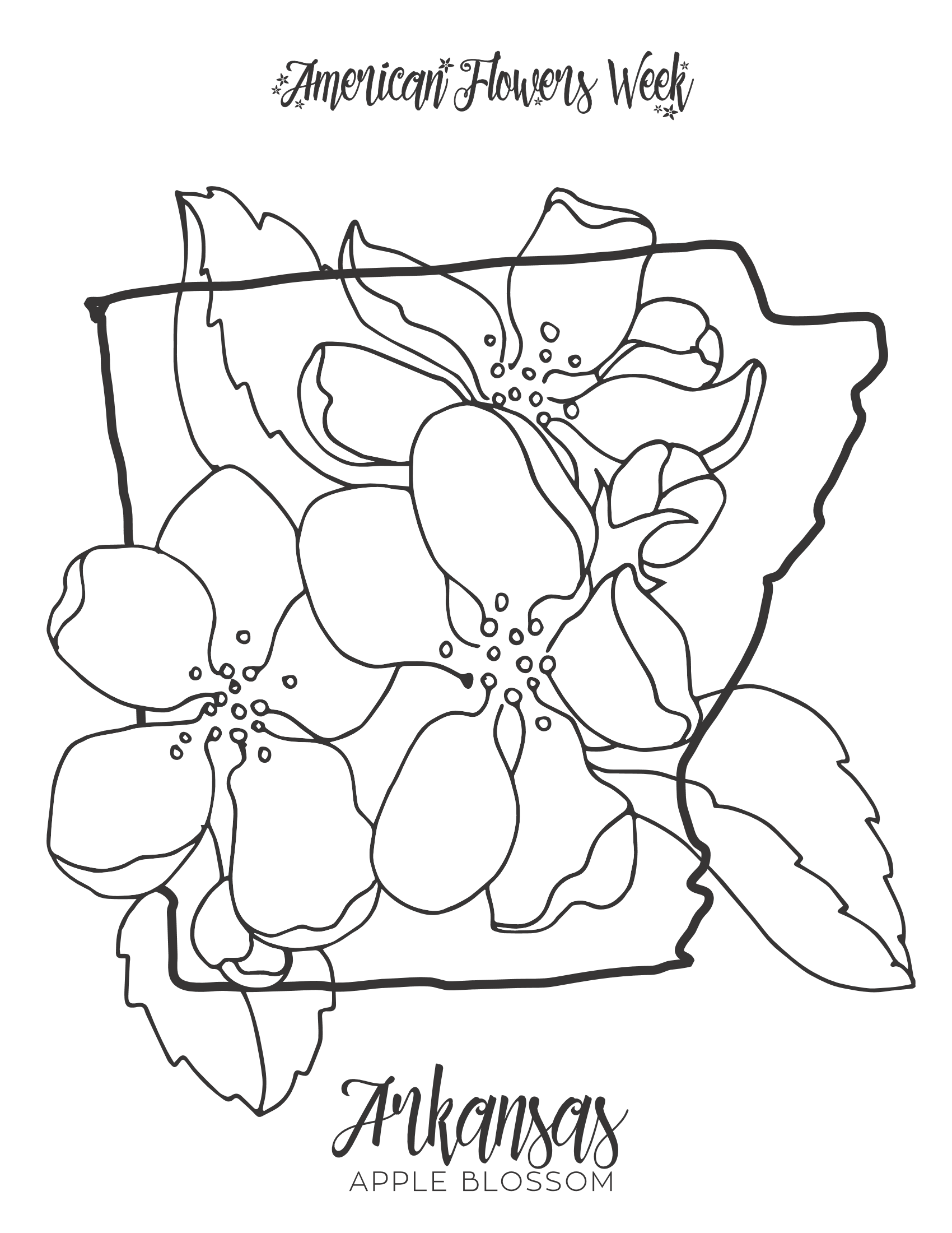 State flowers â free coloring pages â american flowers week