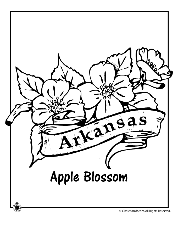 Arkansas coloring pages for kids free printable sheets