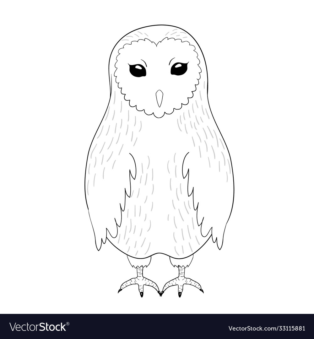 Barn owl contour coloring page art royalty free vector image