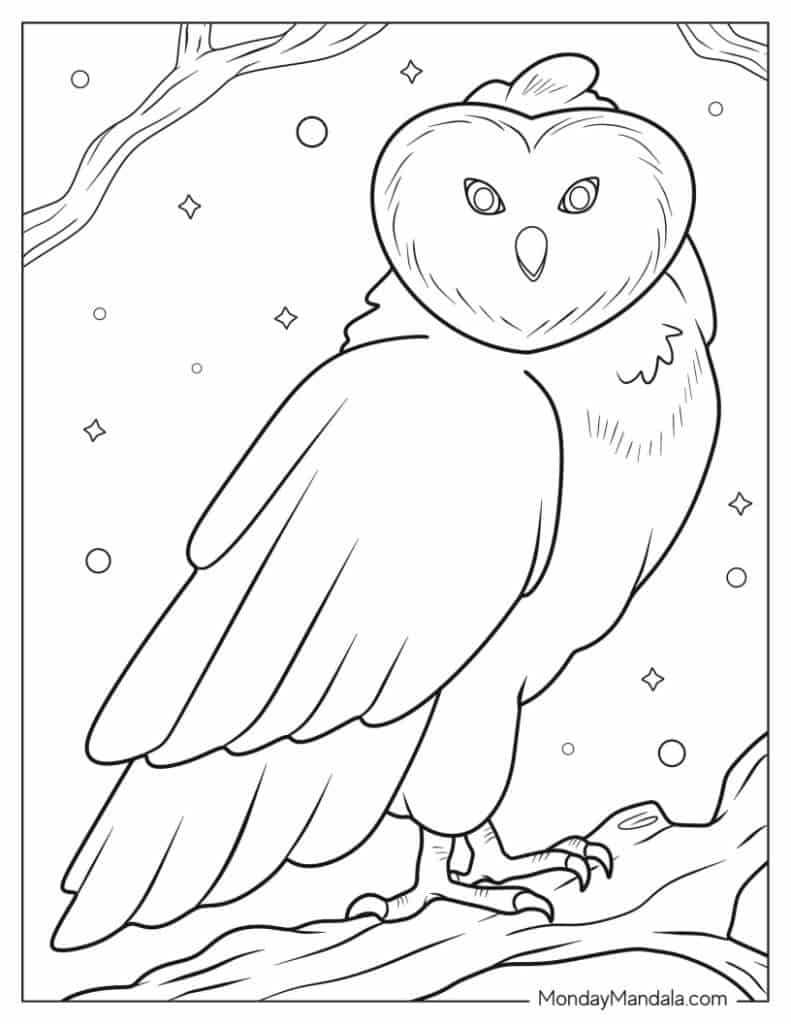 Owl coloring pages free pdf printables