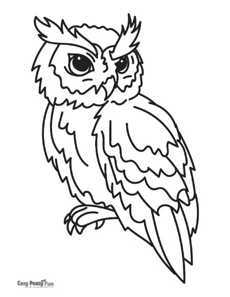 Owl coloring pages â printable sheets