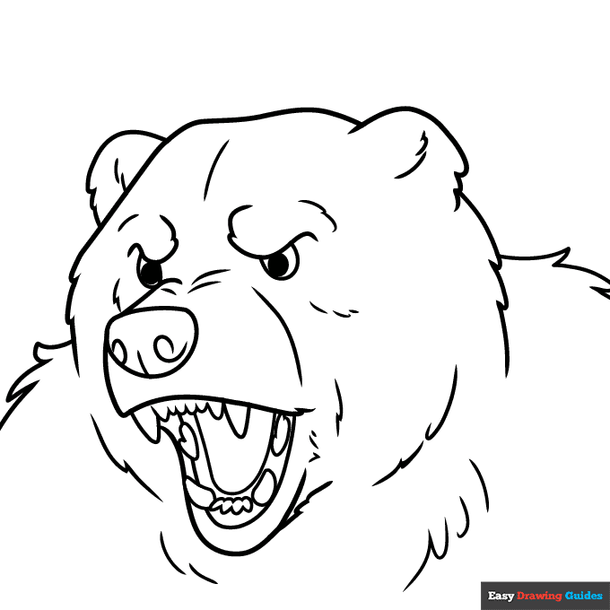 Bear face coloring page easy drawing guides