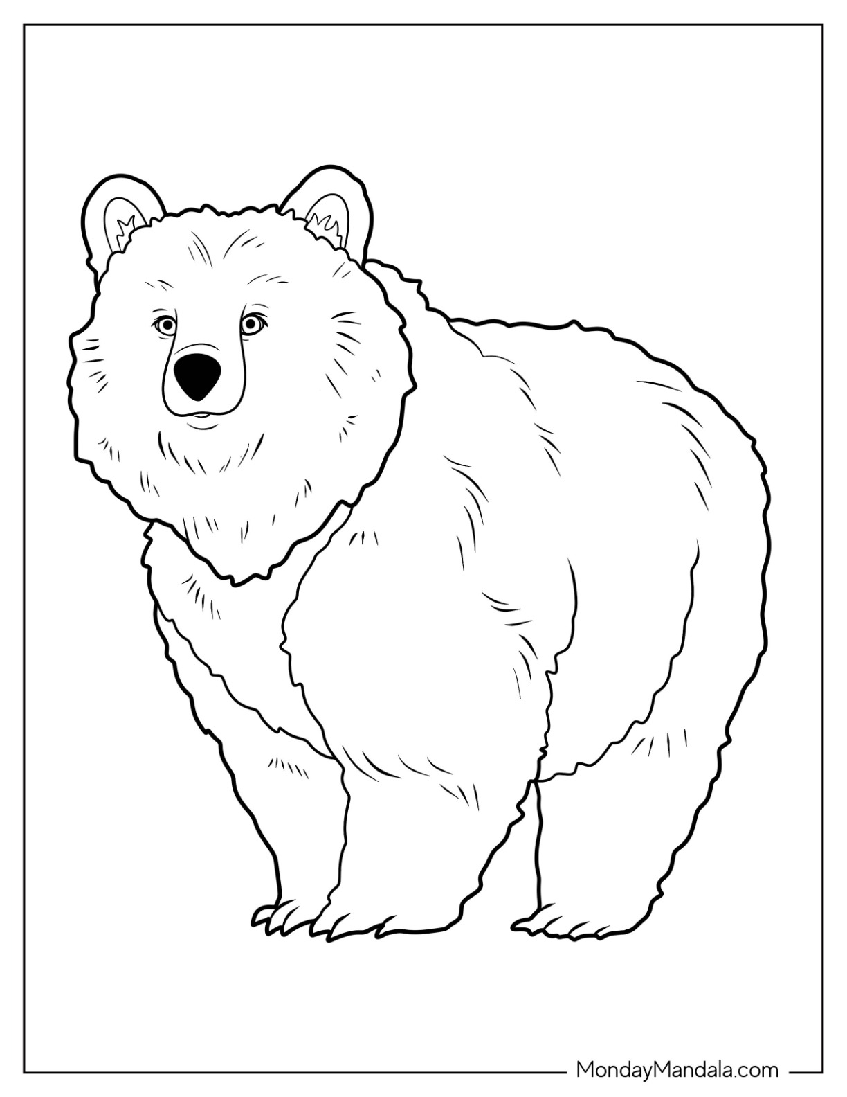 Bear coloring pages free pdf printables