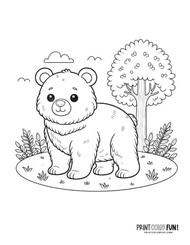 Explore the wild with bear clipart coloring plus engaging activities for kids at