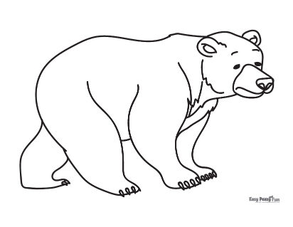 Bear coloring pages