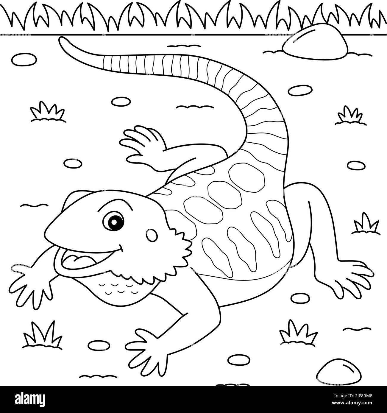 Color bearded dragon stock vector images