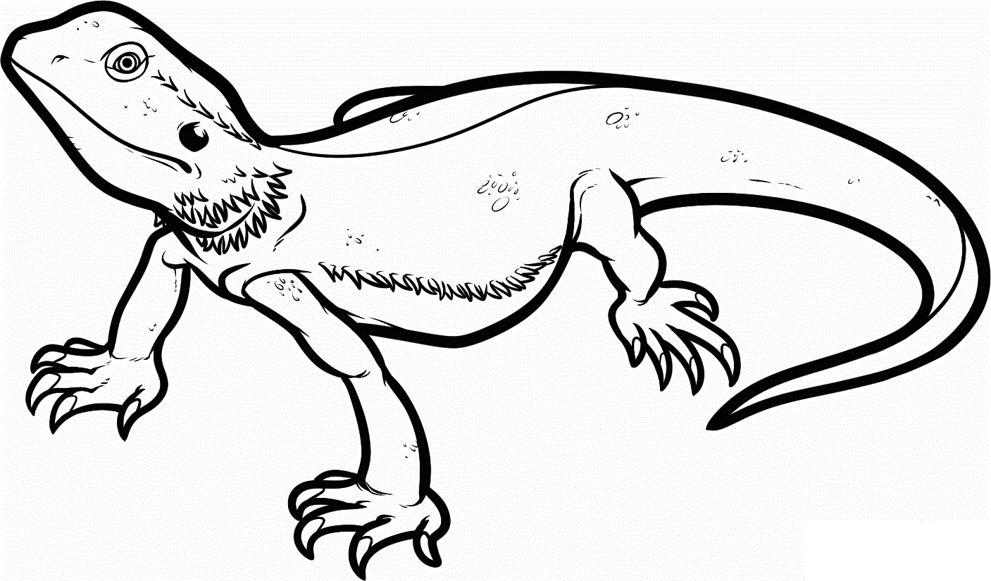 Bearded dragon coloring pages