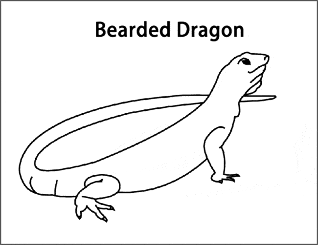 Bearded dragon coloring page