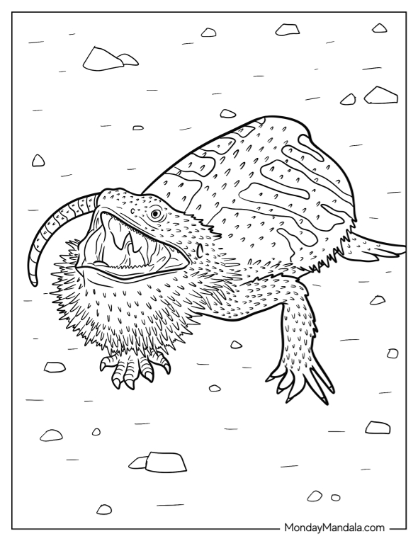 Bearded dragon coloring pages free pdf printables