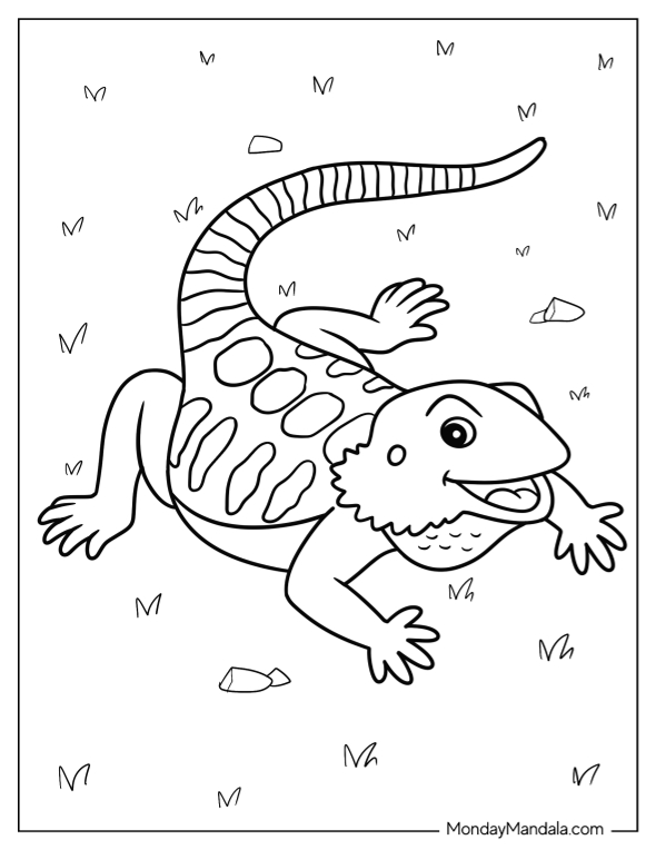 Bearded dragon coloring pages free pdf printables