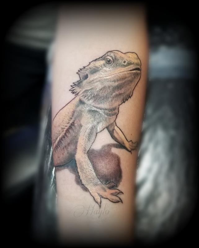 Bearded dragon forearm tattoo by haylo by haylo