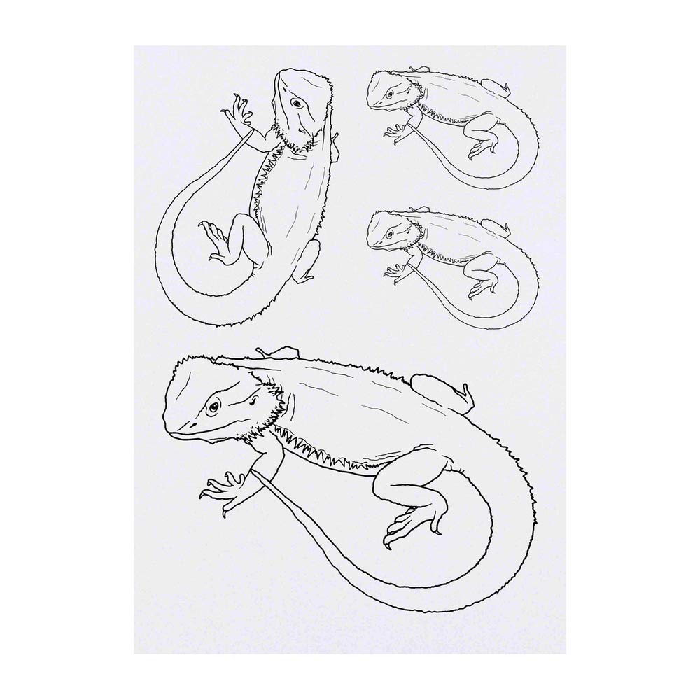 X bearded dragon temporary tattoos to beauty personal care