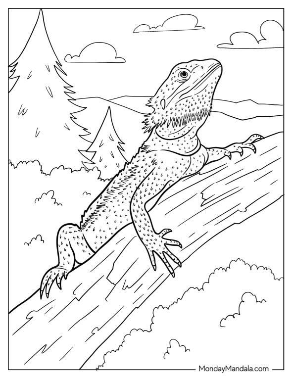 Bearded dragon coloring pages free pdf printables