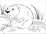 Beavers coloring pages free coloring pages