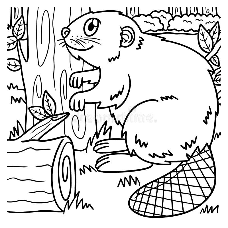 Beaver coloring page for kids stock vector