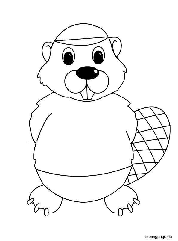 Colorful beaver coloring page