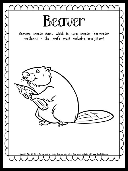 Beaver coloring page with fun fact free printable download â the art kit