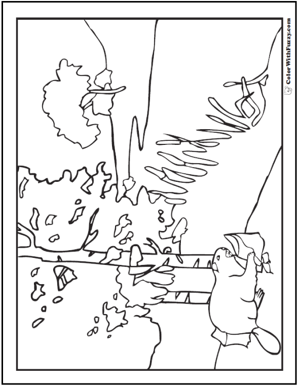 Beaver coloring pages beaver dams and habitat