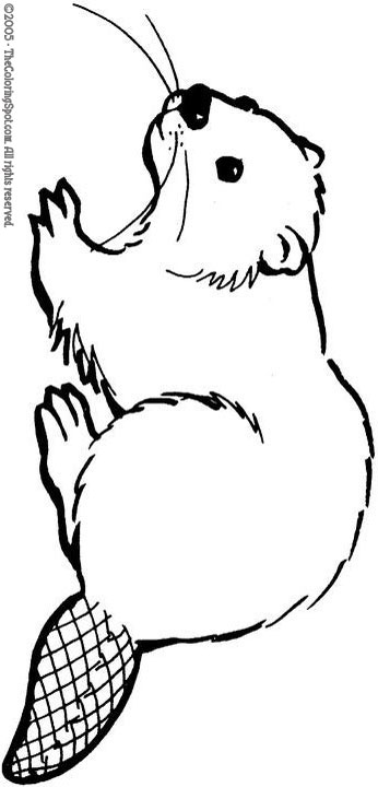 Beaver coloring page audio stories for kids free coloring pages colouring printables