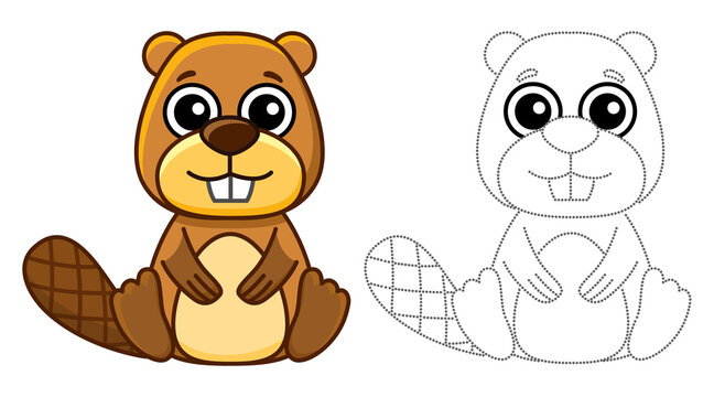 Beaver coloring page images â browse photos vectors and video