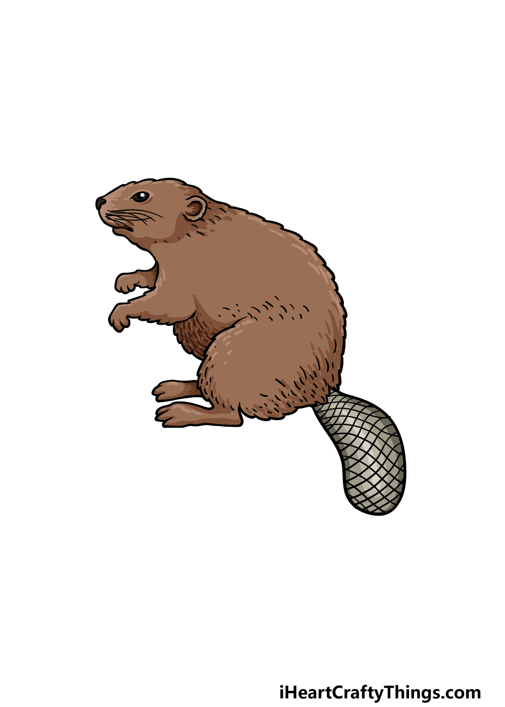 Beaver drawing