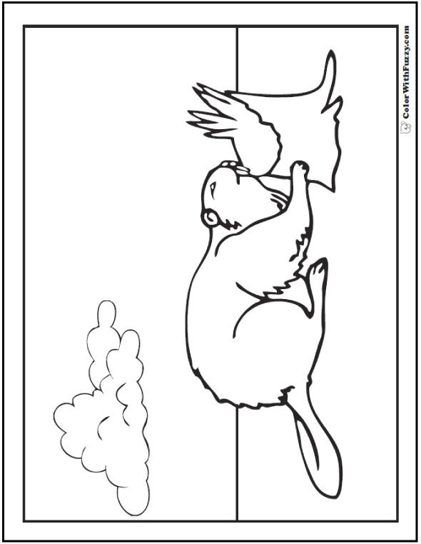 Beaver coloring pages beaver dams and habitat