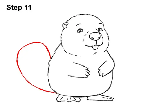 How to draw a beaver cartoon