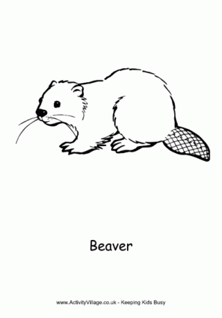 Beaver louring pages