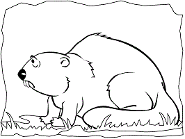 Beavers coloring pages and printable activities