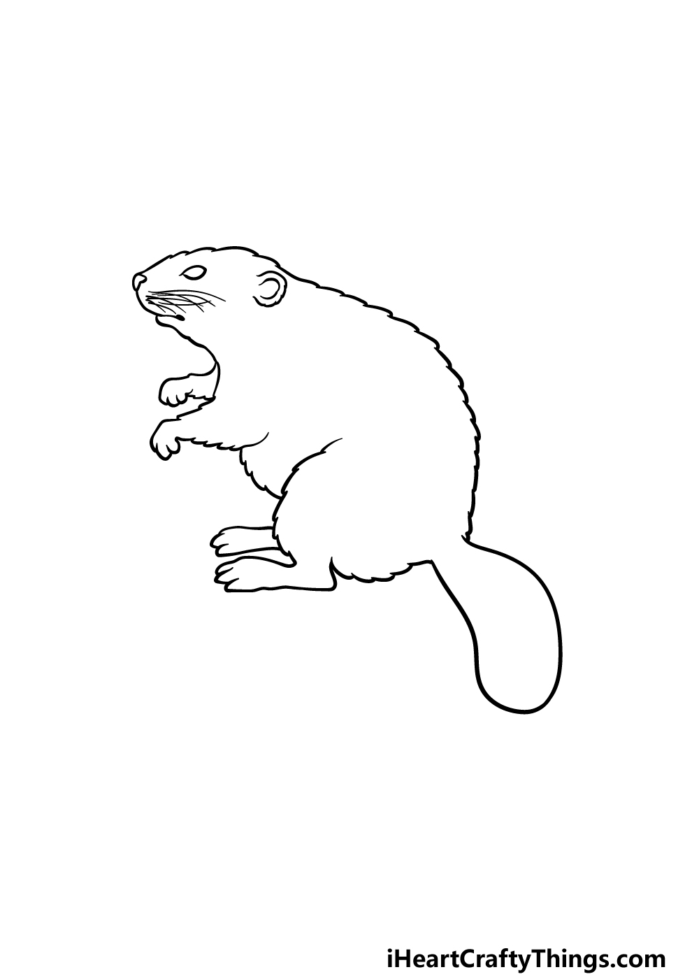 Beaver drawing