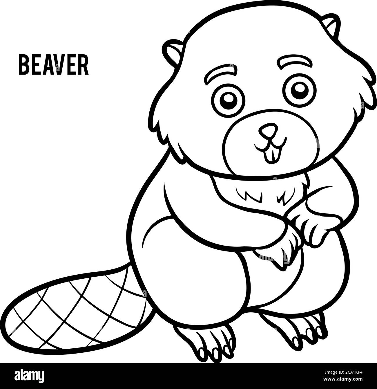 Beaver outline hi