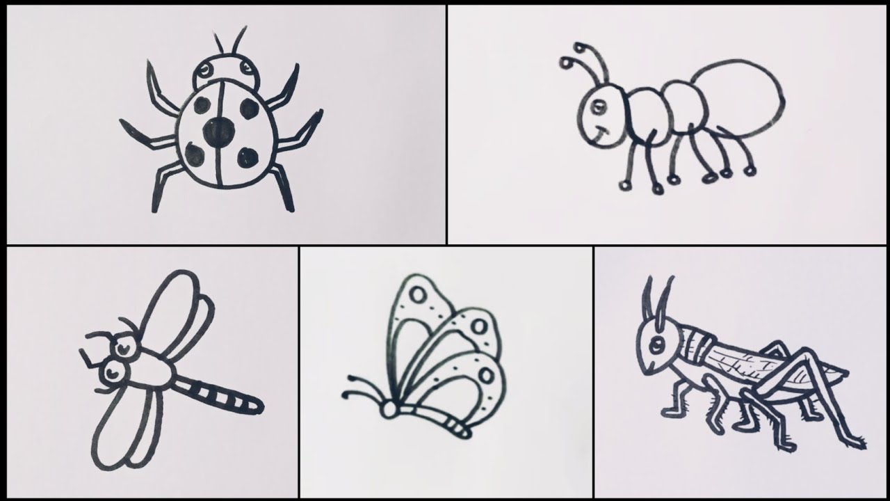 How to draw insects easy drawing step by step