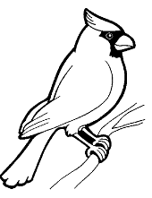 Bird coloring pages to print ð