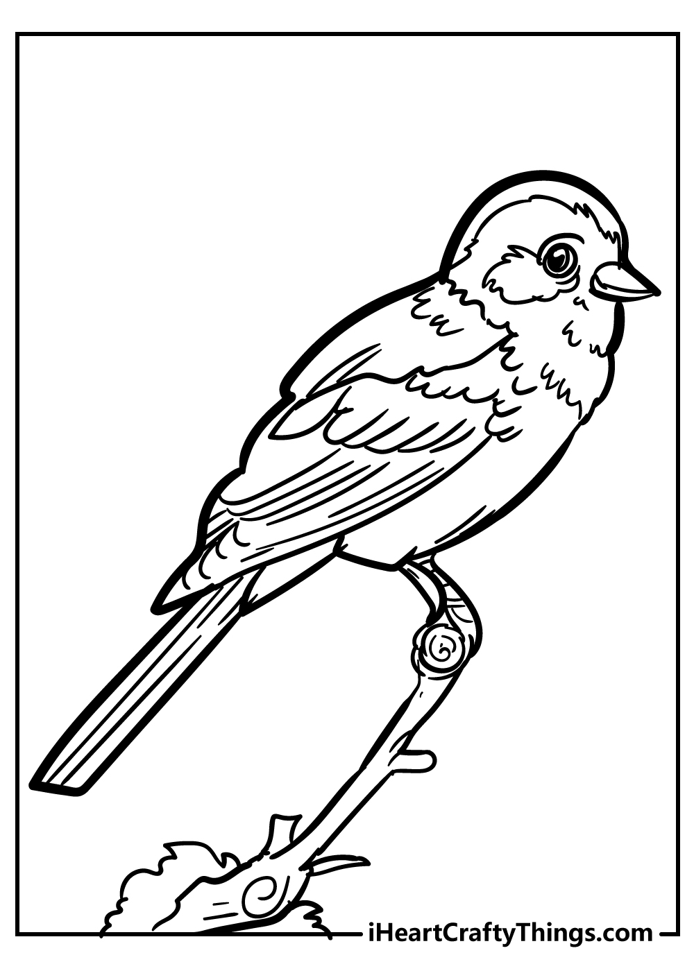 Bird coloring pages free printables