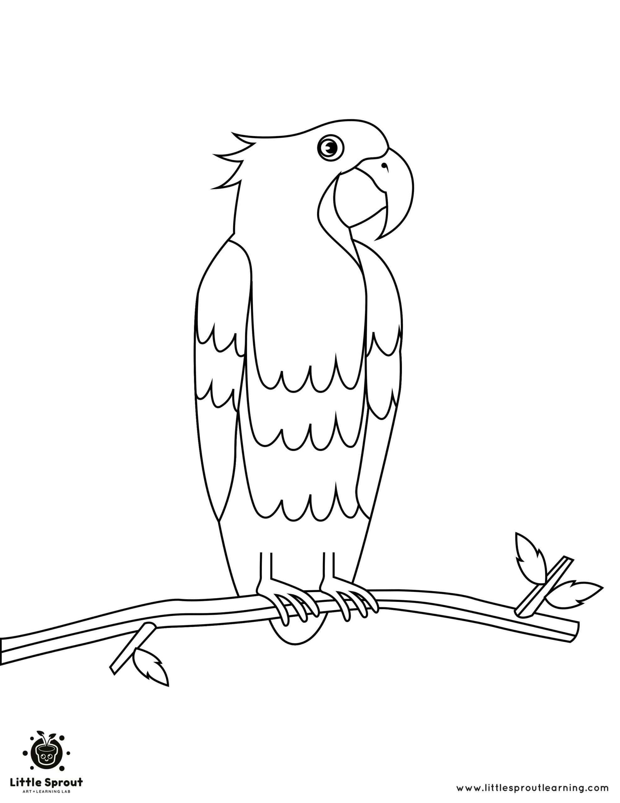 Printable bird colouring pages for your child