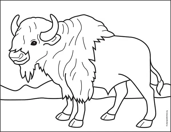 Easy how to draw a bison tutorial and bison coloring page