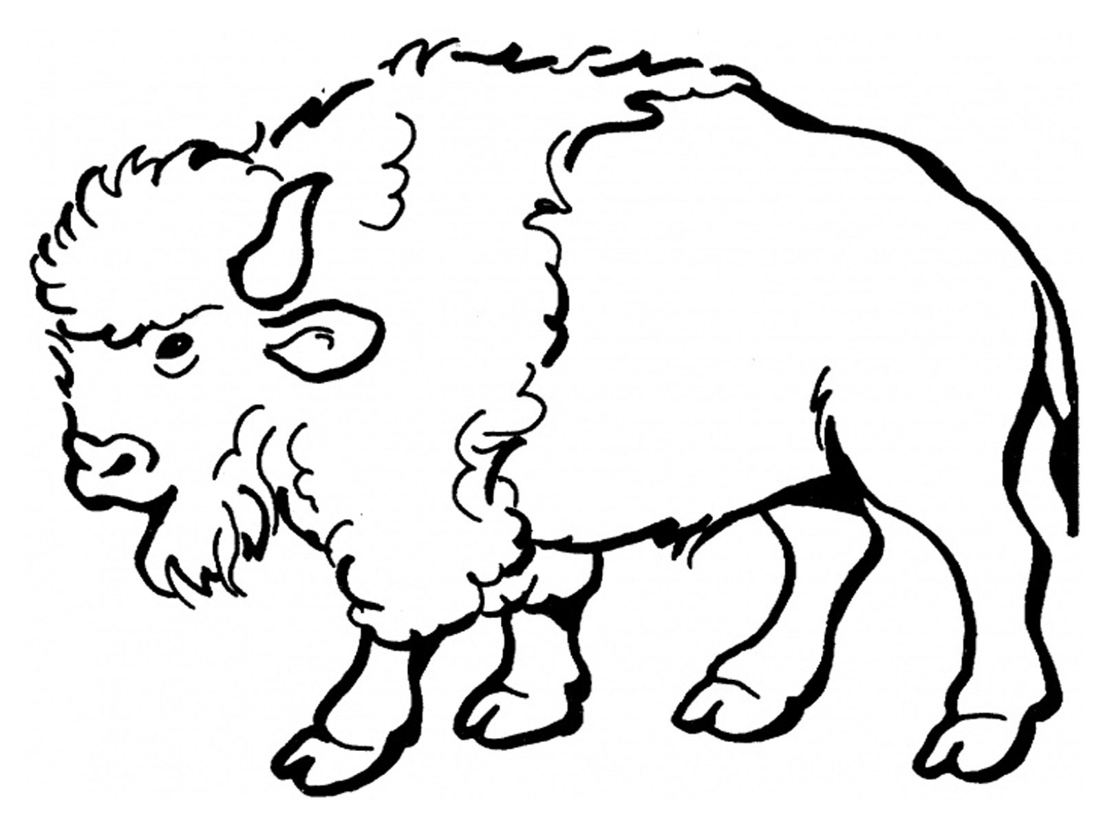 Free printable bison coloring pages for kids