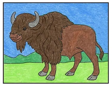 Easy how to draw a bison tutorial and bison coloring page