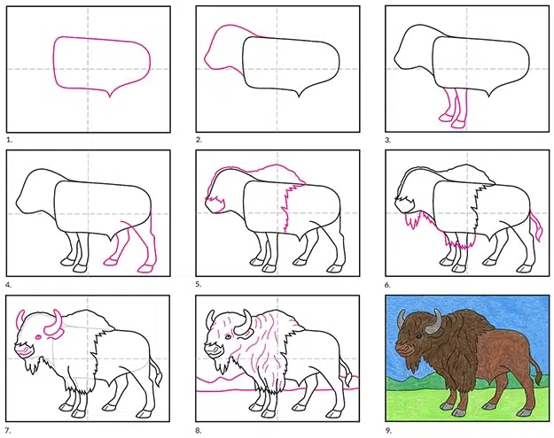 Easy how to draw a bison tutorial and bison coloring page