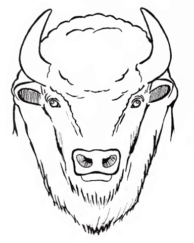 Bison coloring page free printable coloring pages