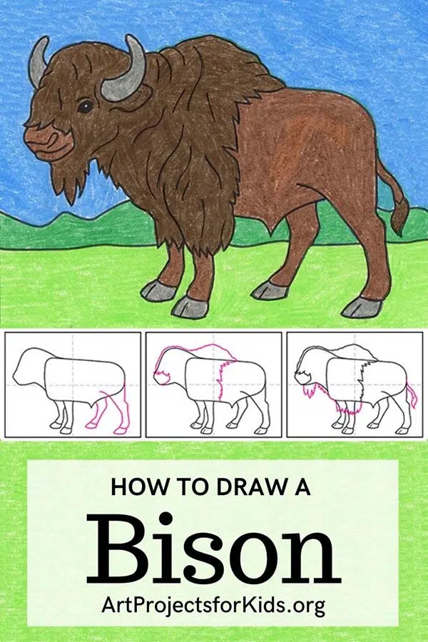 Easy how to draw a bison tutorial and bison coloring page