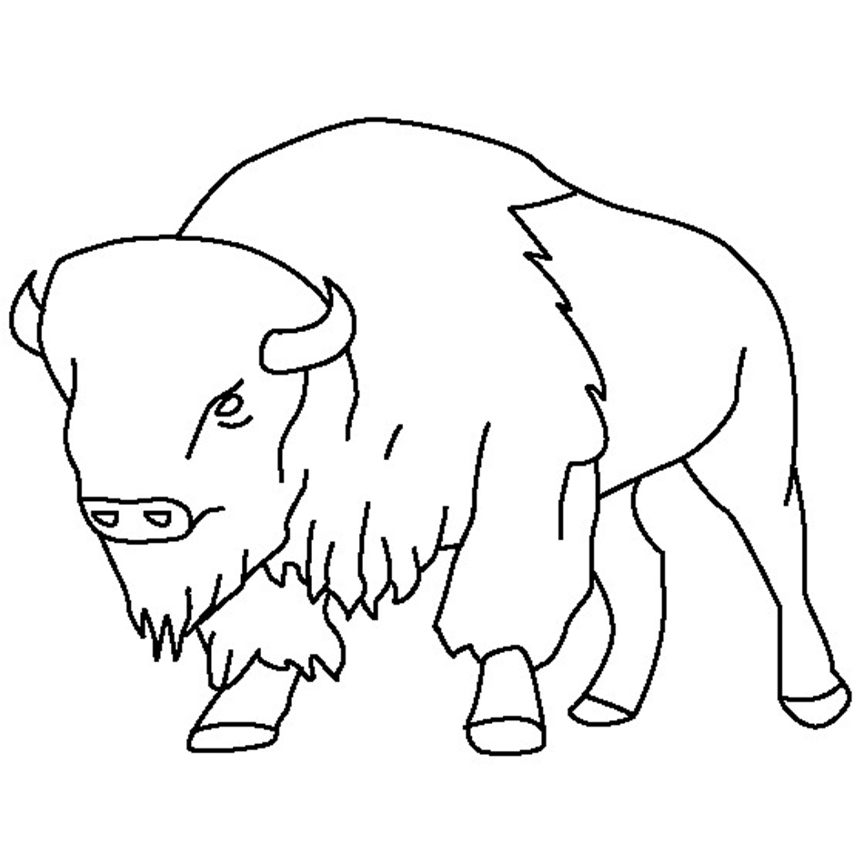 Free printable bison coloring pages for kids