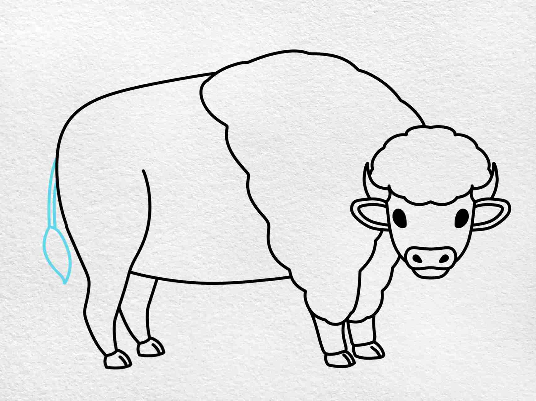 Buffalo drawing