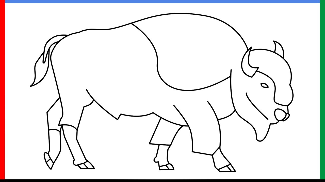 How to draw a bison step by step for beginners