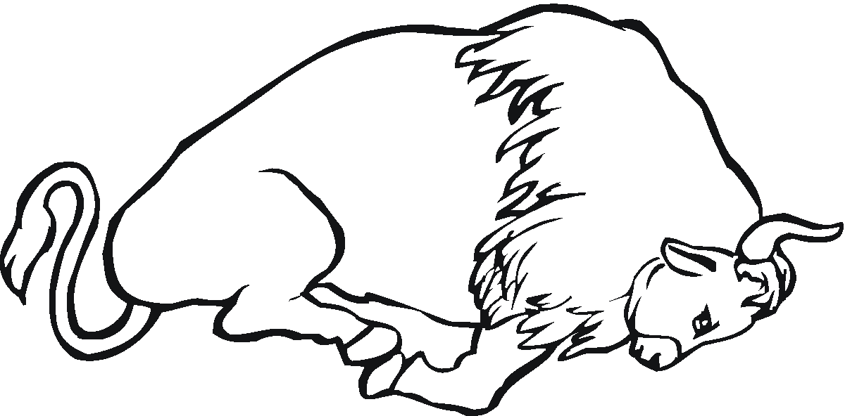 Free buffalo and bison coloring pages